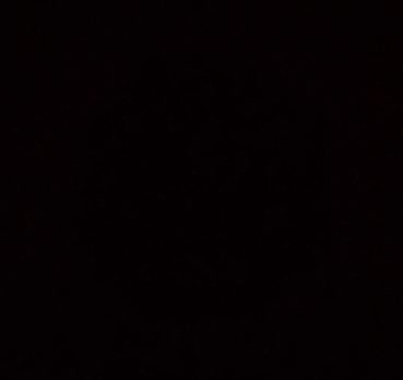 Миша, 20 лет, Новоалтайск,  Россия 🇷🇺