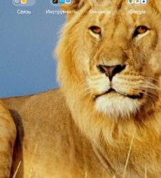 Лева, 52 лет, Гетеро, Мужчина, Ангрен, Узбекистан