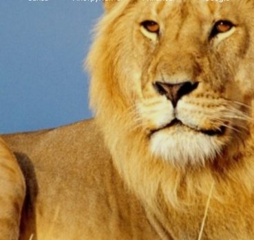 Лева, 52 лет, Ангрен, Узбекистан