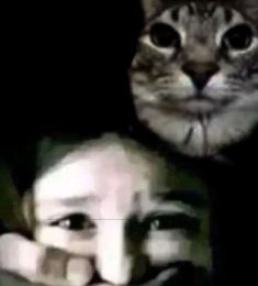 Сергей, 24 лет, Гетеро, Мужчина, Сегежа,  Россия 🇷🇺