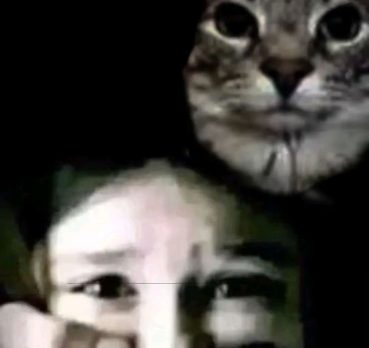 Сергей, 24 лет, Сегежа,  Россия 🇷🇺