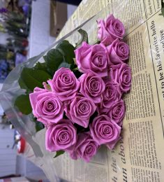 Аня, 35 лет, Бисексуал(ка), Женщина, Смоленск,  Россия 🇷🇺