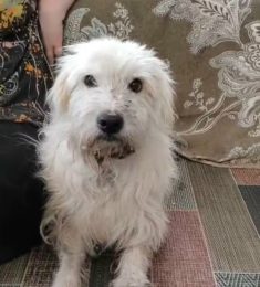 Андрей, 35 лет, Гетеро, Мужчина, Челябинск,  Россия 🇷🇺