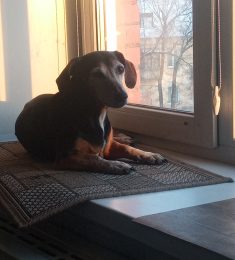 Ева, 57 лет, Гетеро, Женщина, Новокузнецк, Кемерово,  Россия 🇷🇺