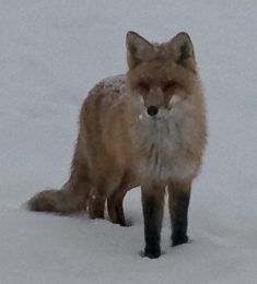 Андрей, 49 лет, Гетеро, Мужчина, Пенза, Пенза,  Россия 🇷🇺