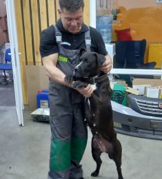 Евгений, 47 лет, Гетеро, Мужчина, Аннино, Москва,  Россия 🇷🇺