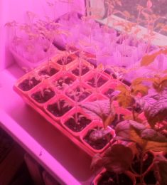 Макс, 45 лет, Гетеро, Мужчина, Шатура, Московская область,  Россия 🇷🇺