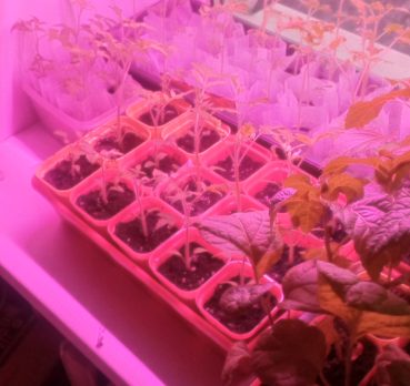 Макс, 45 лет, Шатура, Московская область,  Россия 🇷🇺