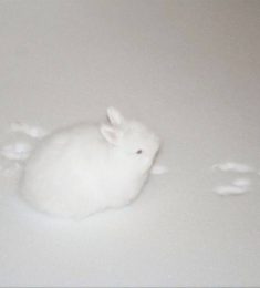 Ильнар, 18 лет, Гетеро, Мужчина, Воронеж, Воронеж,  Россия 🇷🇺