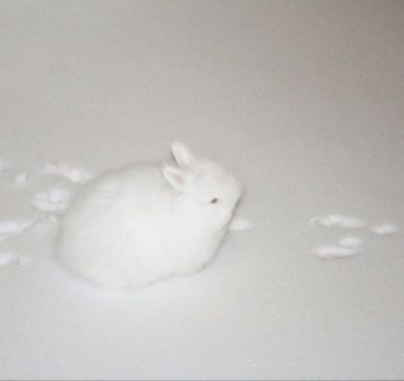 Ильнар, 18 лет, Воронеж, Воронеж,  Россия 🇷🇺