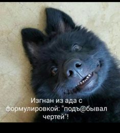 Александр, 38 лет, Гетеро, Мужчина, Замоскворечье, Москва,  Россия 🇷🇺