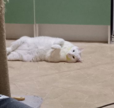 Максим, 36 лет, Красноярск, Красноярский,  Россия 🇷🇺
